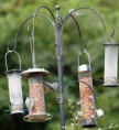 /album/my-local-birding-gallery/busy-bird-feeders-in-a-garden-at-thornhill-edge-this-afternoon-jpg/
